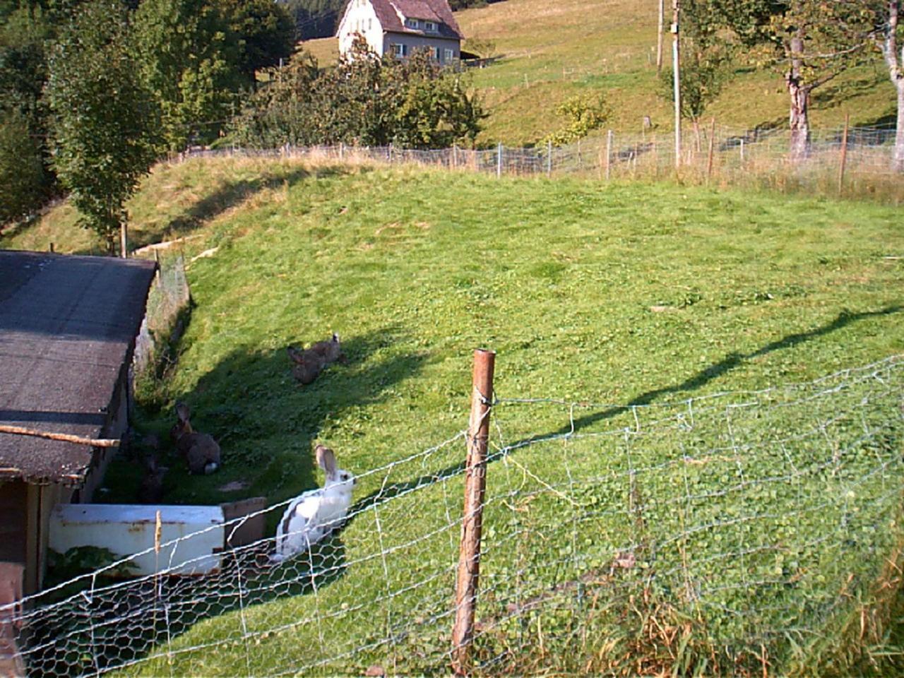 Gasthof Erlenhof آلبيرسباخ المظهر الخارجي الصورة