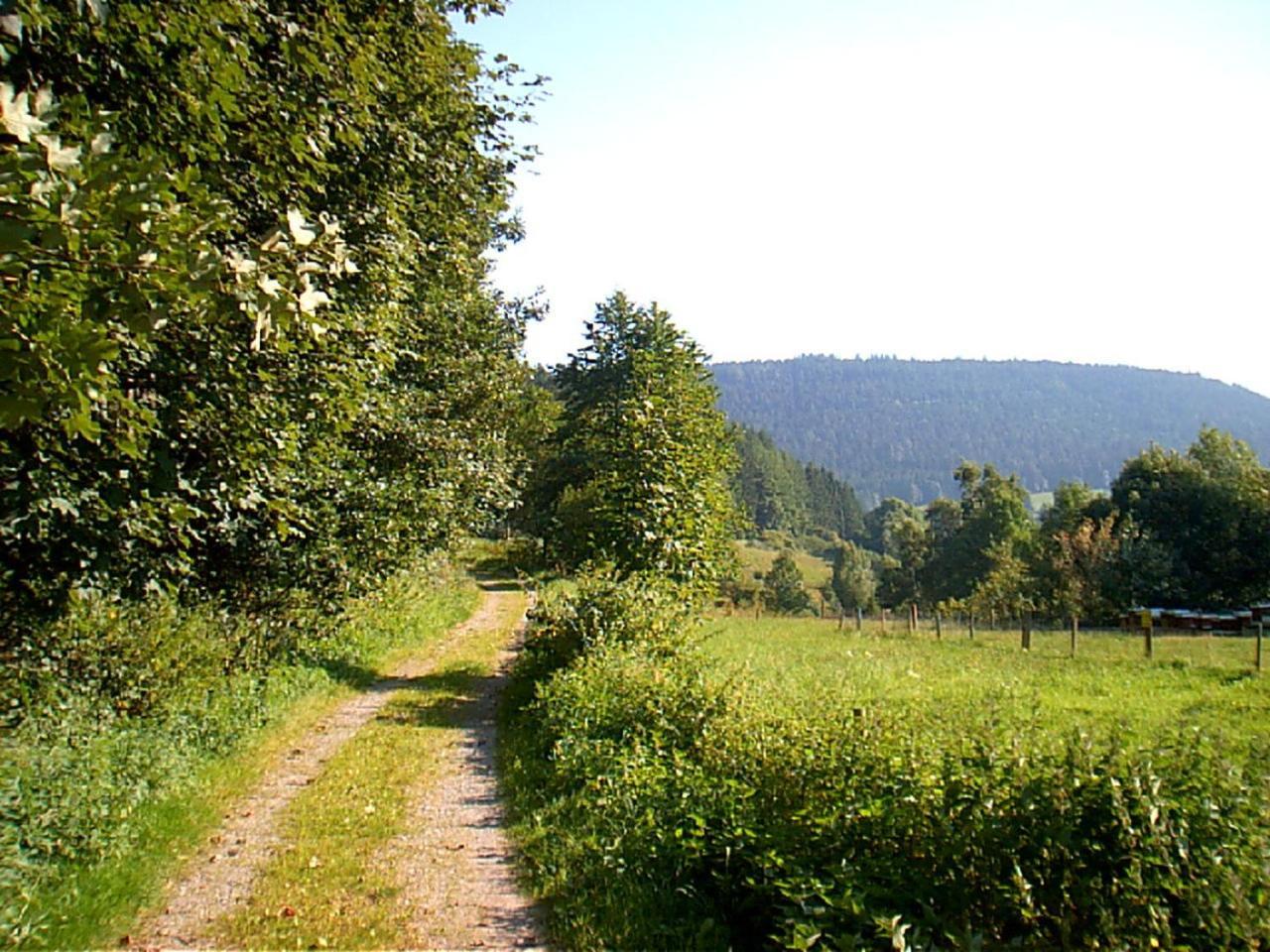 Gasthof Erlenhof آلبيرسباخ المظهر الخارجي الصورة
